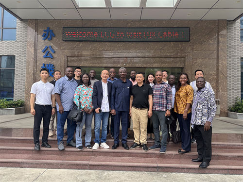 Dernières nouvelles de l'entreprise Le directeur adjoint de l'Autorité de l'électricité du Ghana et de la Ghana Electricity Company (ECG) rendent visite à Dongjiaxin